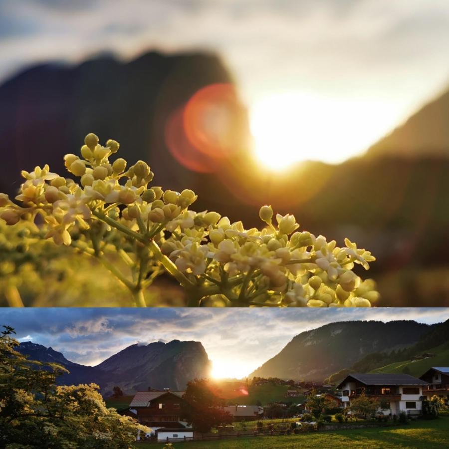 Urlaub Bei Moses Appartement Schoppernau Buitenkant foto