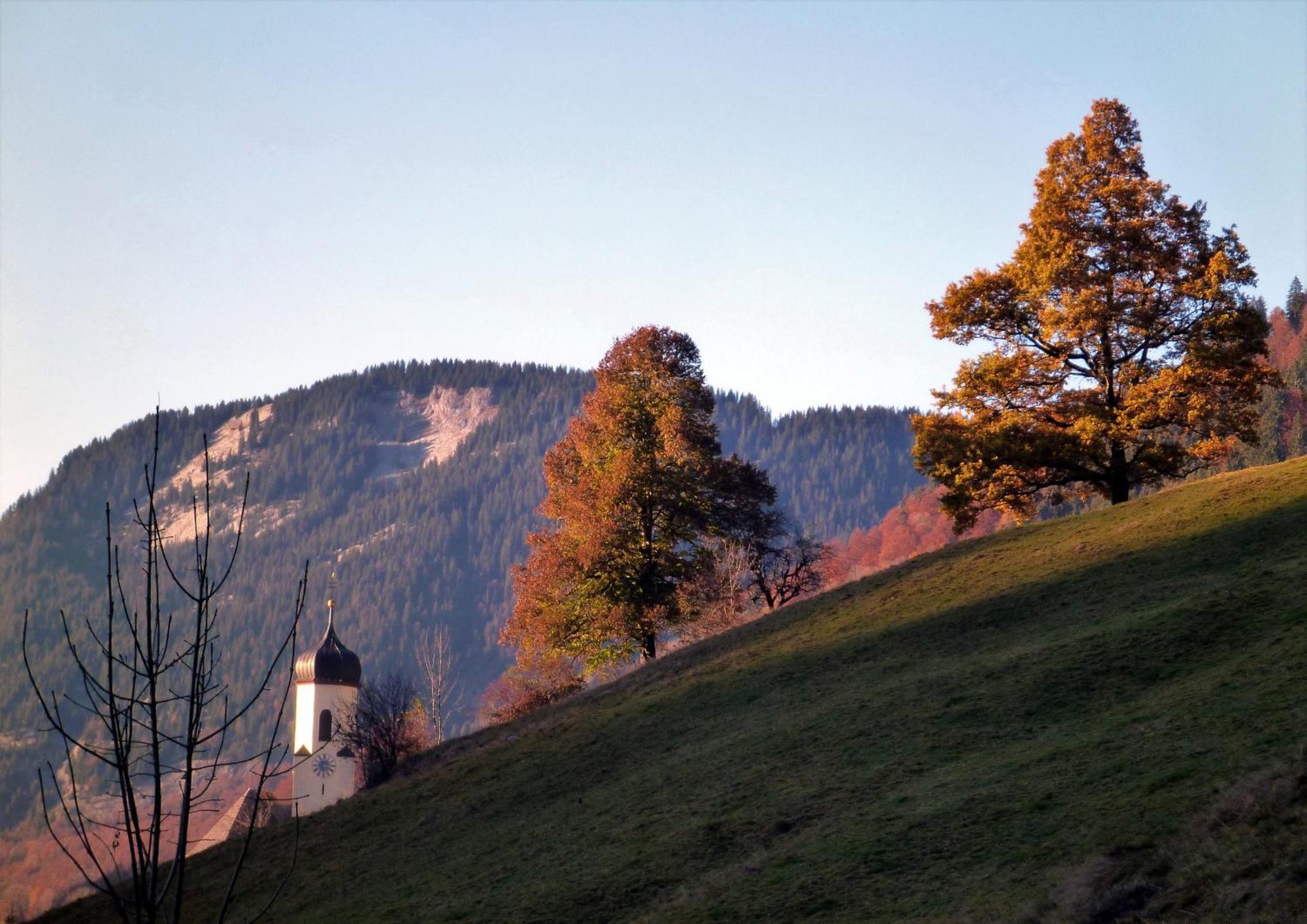Urlaub Bei Moses Appartement Schoppernau Buitenkant foto