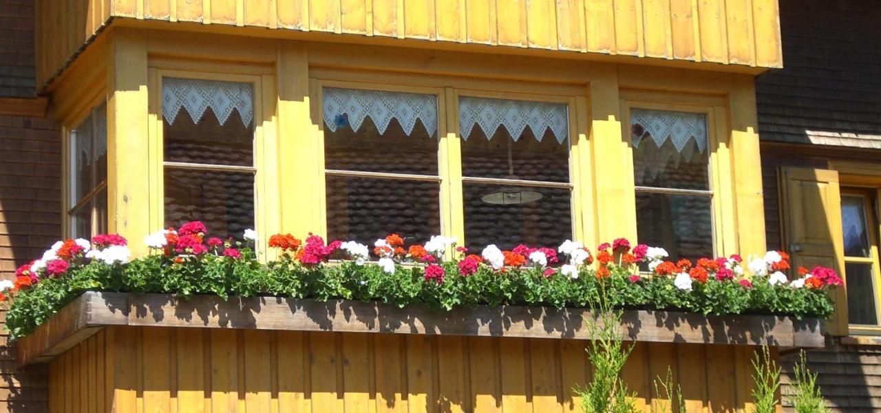 Urlaub Bei Moses Appartement Schoppernau Buitenkant foto