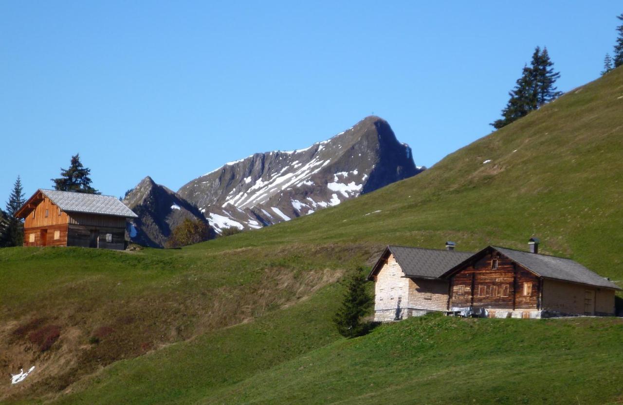 Urlaub Bei Moses Appartement Schoppernau Buitenkant foto