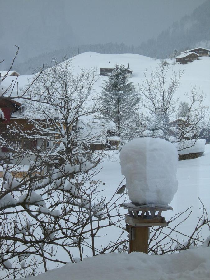 Urlaub Bei Moses Appartement Schoppernau Buitenkant foto